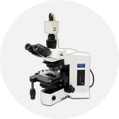 Microscope