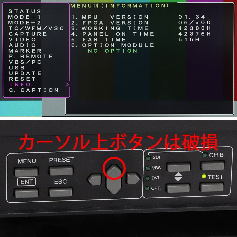 Ikegami HEM-2570W 25-Inch Multi-Format OLED Master Monitor [e1197028427]