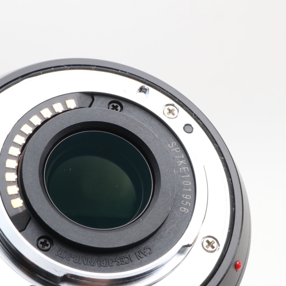 Panasonic Leica DG VARIO-ELMAR 100-400mm f4.0-6.3 Super Telephoto Zoom Lens [r1212914655]