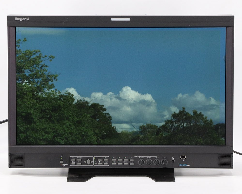 Ikegami HEM-2570W 25-Inch Multi-Format OLED Master Monitor [e1197028427]