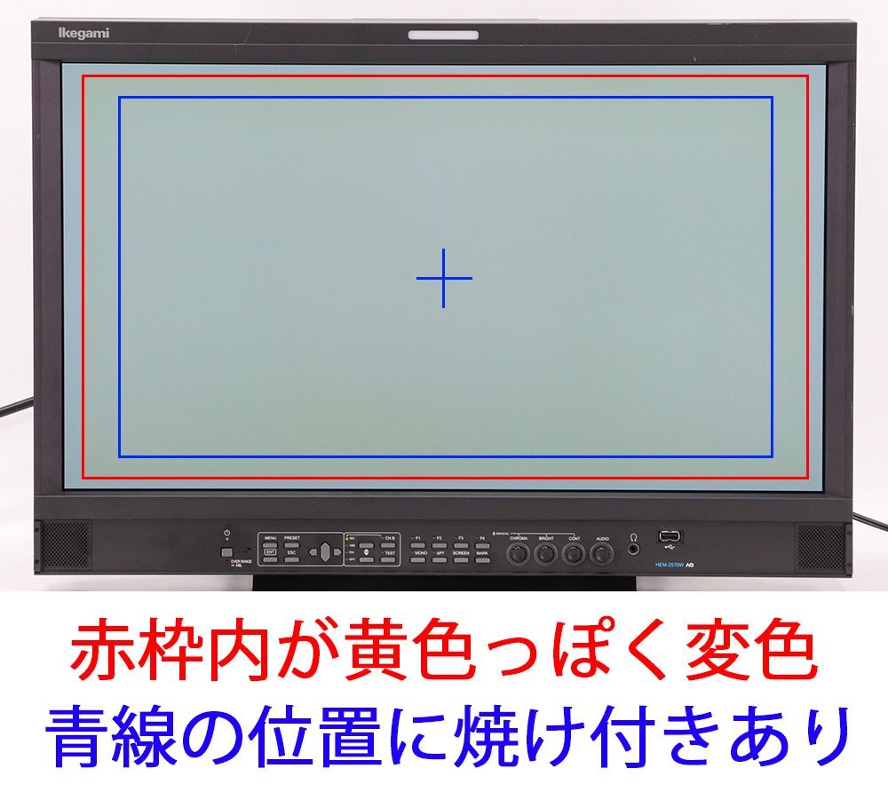 Ikegami HEM-2570W 25-Inch Multi-Format OLED Master Monitor [e1197028427]