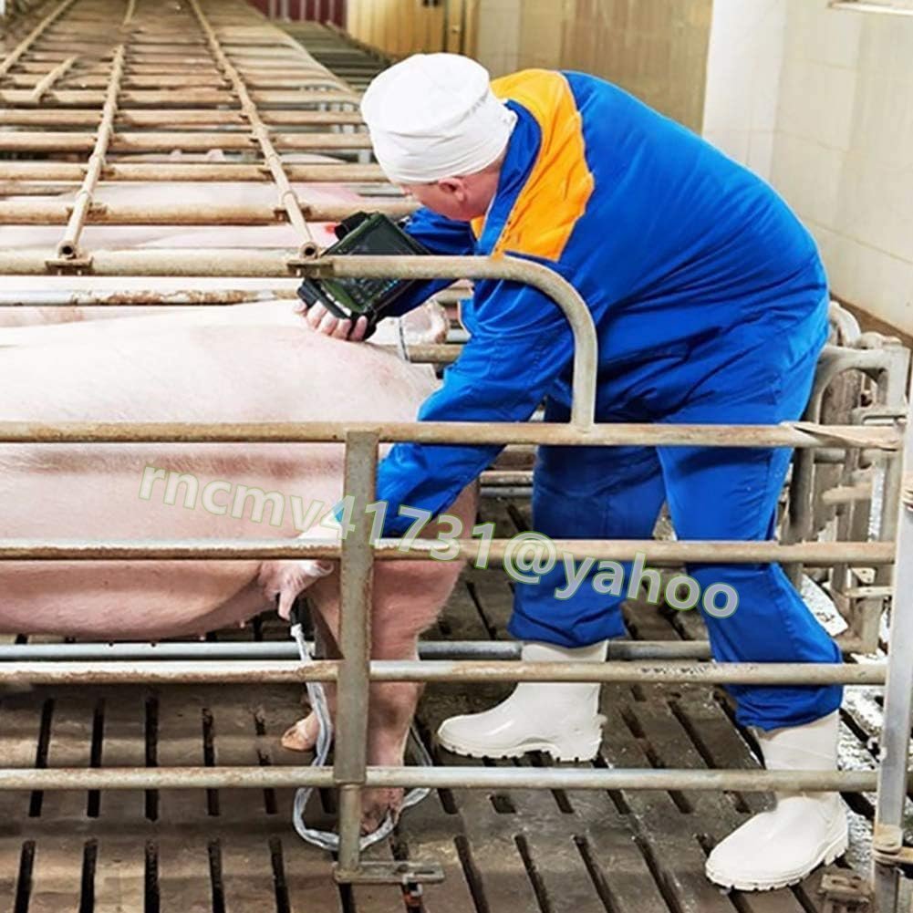 81SHOP Portable B-Ultrasound Scanner Veterinary Ultrasound Scanner Kit [v1119530630]