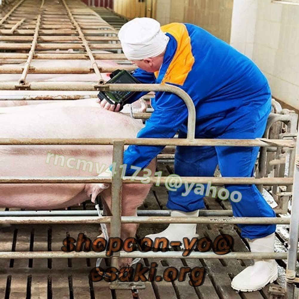 Portable B-Ultrasonic Scanner Veterinary Ultrasonic Scanner Kit with Convex Probes [e1139352946]