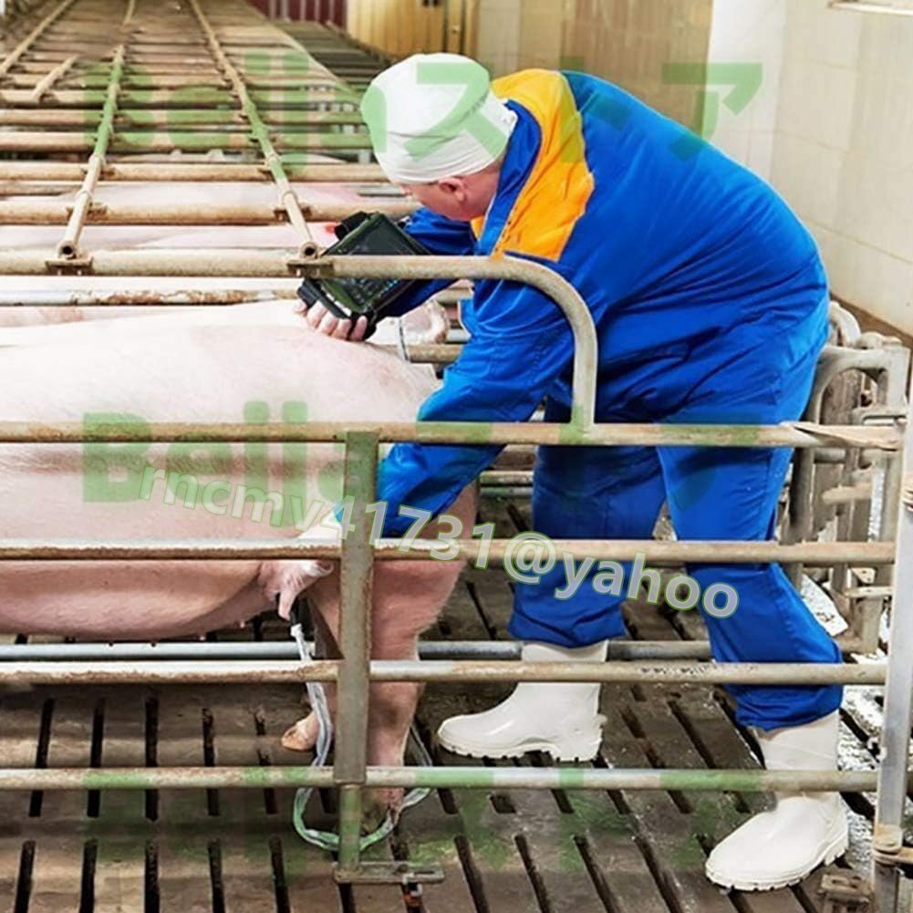 Portable Veterinary Ultrasound Scanner Kit with Two Probe Convex [u1142054293]