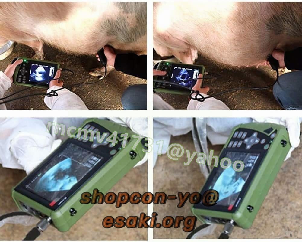 Portable B-Ultrasonic Scanner Veterinary Ultrasonic Scanner Kit with Convex Probes [e1139352946]