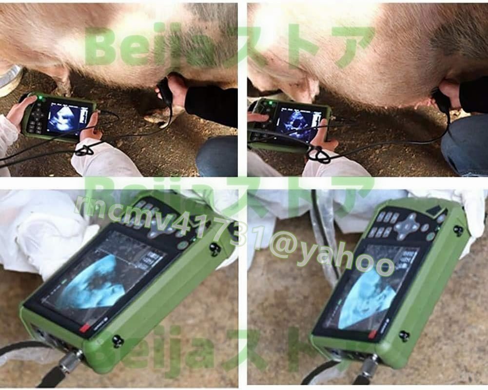 Portable Veterinary Ultrasound Scanner Kit with Two Probe Convex [u1142054293]