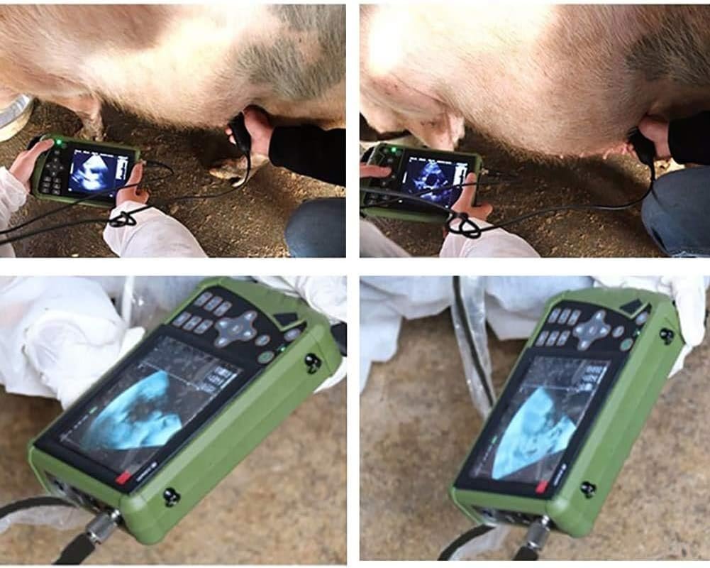 Portable B-Ultrasound Scanner Veterinary Ultrasound Scanner Kit Diagnostic Equipment [u1161841113]