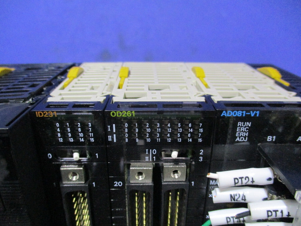 OMRON CJ1W-PA202 CJ2M CPU15 ID231 OD261 AD081-V1 [j1197993821]