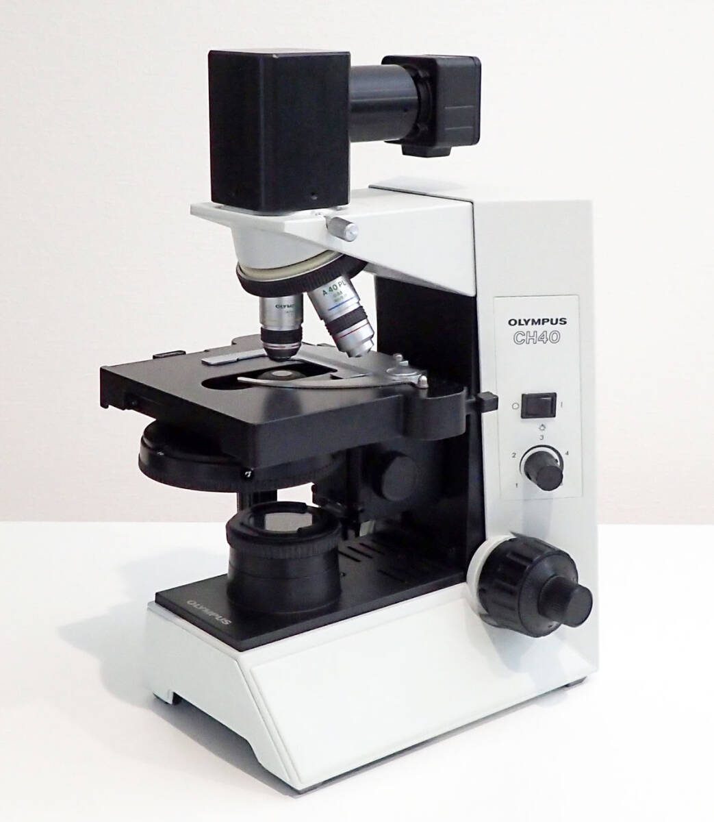 Olympus Phase Contrast Microscope Digital Camera Output for Bacteria Microorganisms Blood Observation [1193381354]
