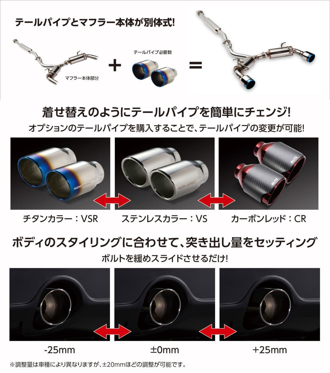 BLITZ NUR-SPEC CUSTOM EDITION Muffler VSR StyleD 86 ZN6 Subaru BRZ ZC6 [n1103852543]