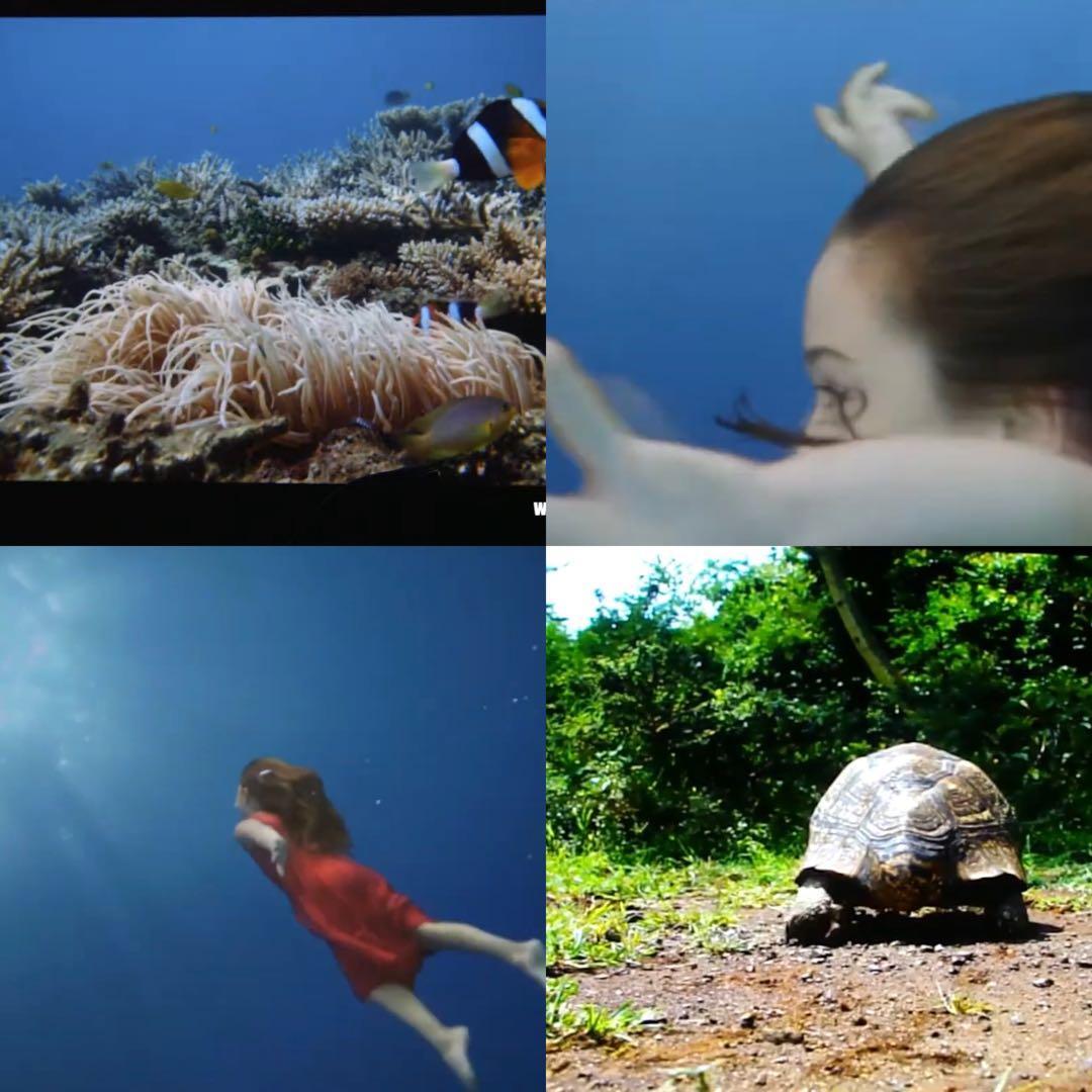 SONY VPL-VW500ES 4K Projector [n1209164071]