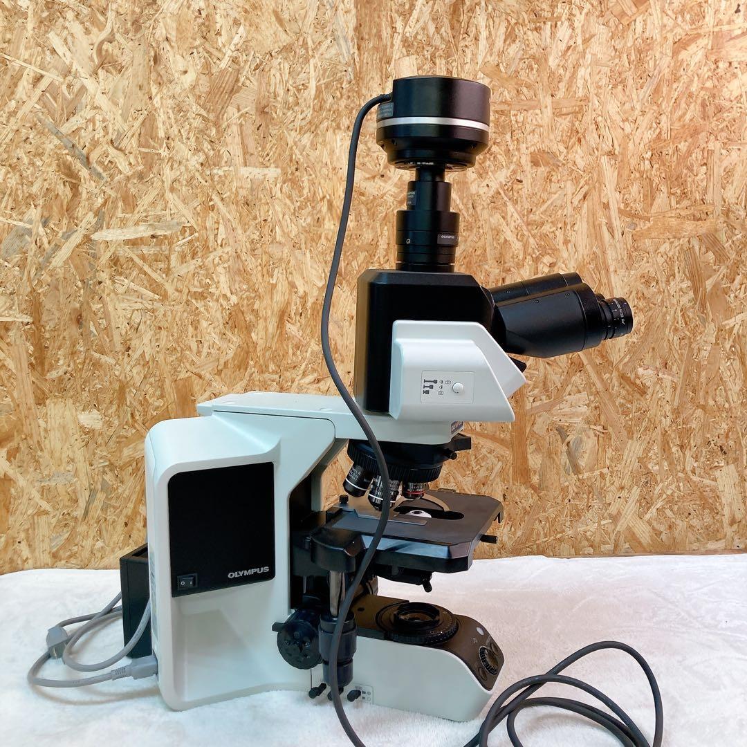 Olympus BX-53F Microscope with U-CMAD3 [k1235414200]