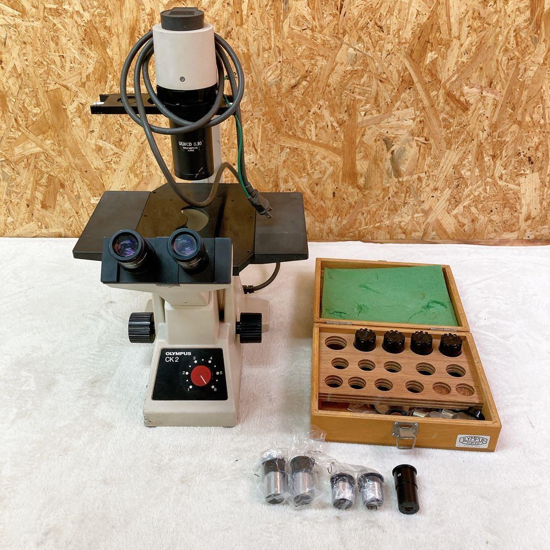 Olympus CK2 Microscope [s1235406389]