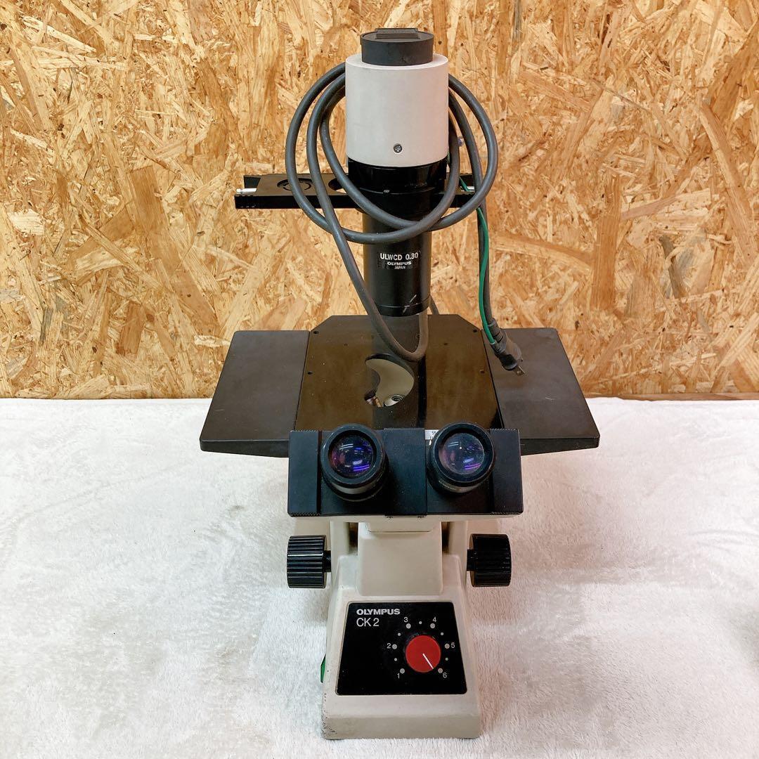 Olympus CK2 Microscope [s1235406389]