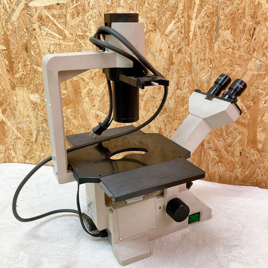 Olympus CK2 Microscope [s1235406389]