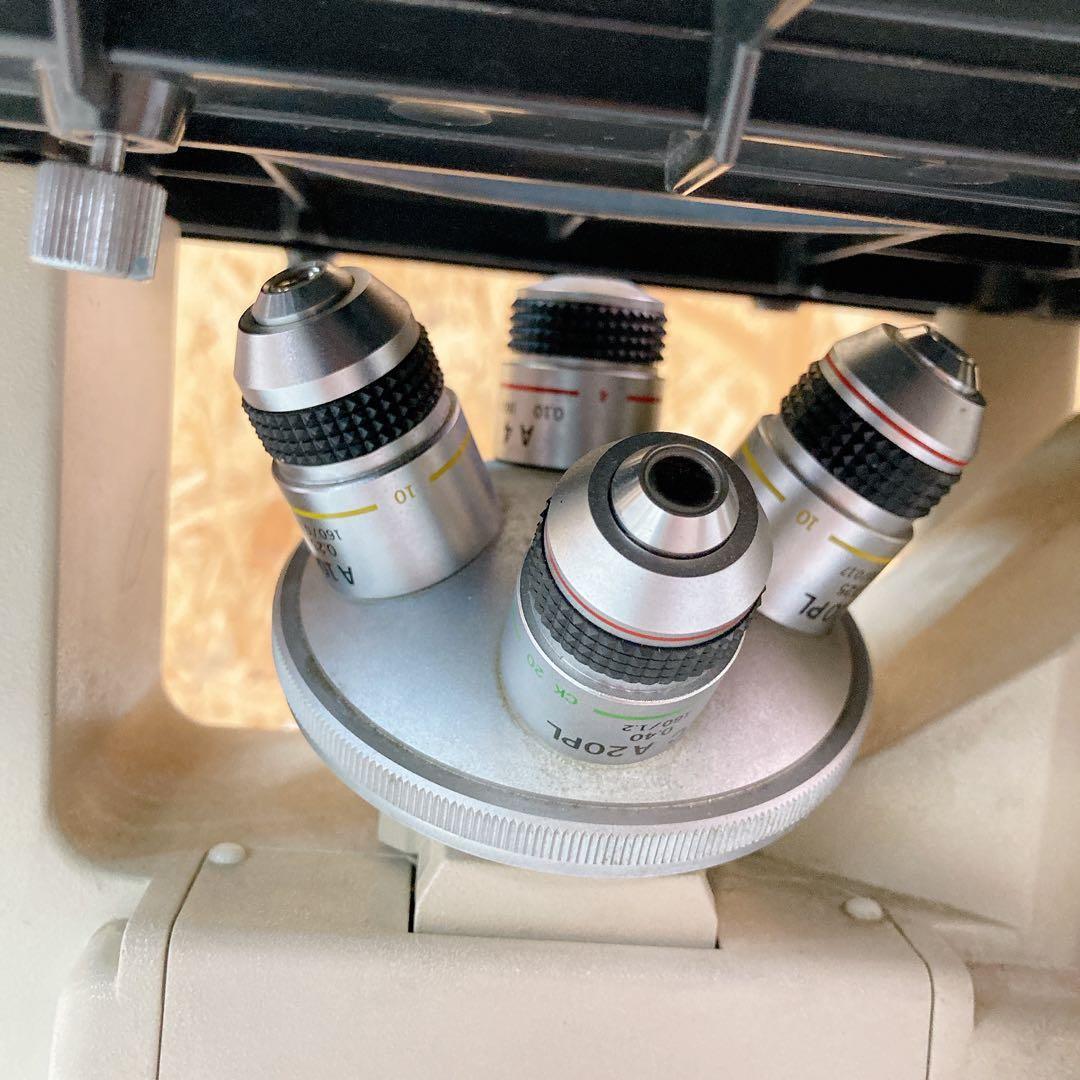 Olympus CK2 Microscope [s1235406389]
