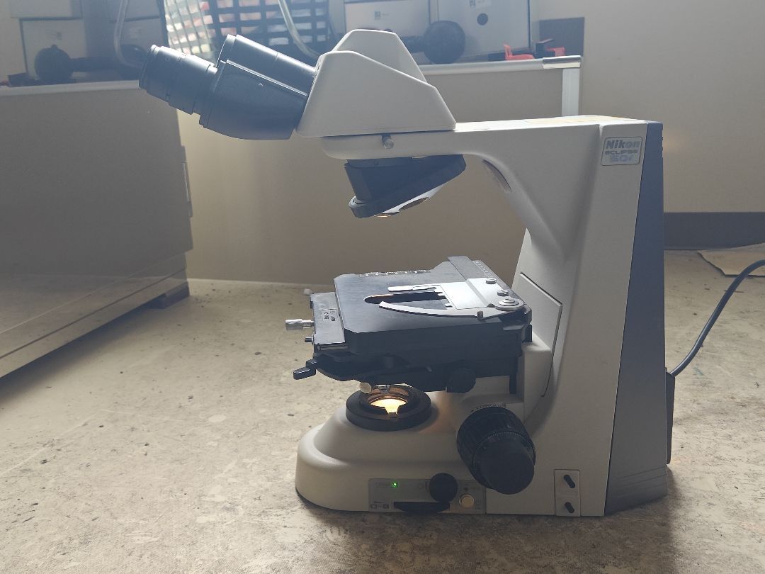 Nikon ECLIPSE 50i Microscope with Eyepiece [n1219697421]