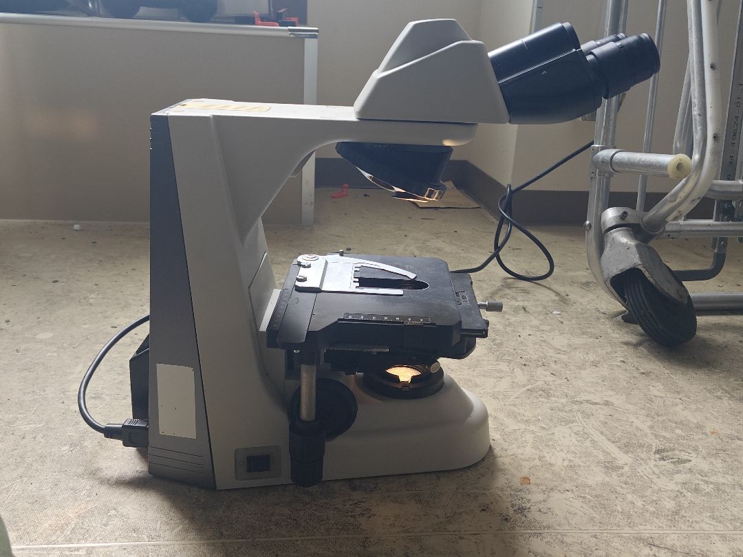 Nikon ECLIPSE 50i Microscope with Eyepiece [n1219697421]