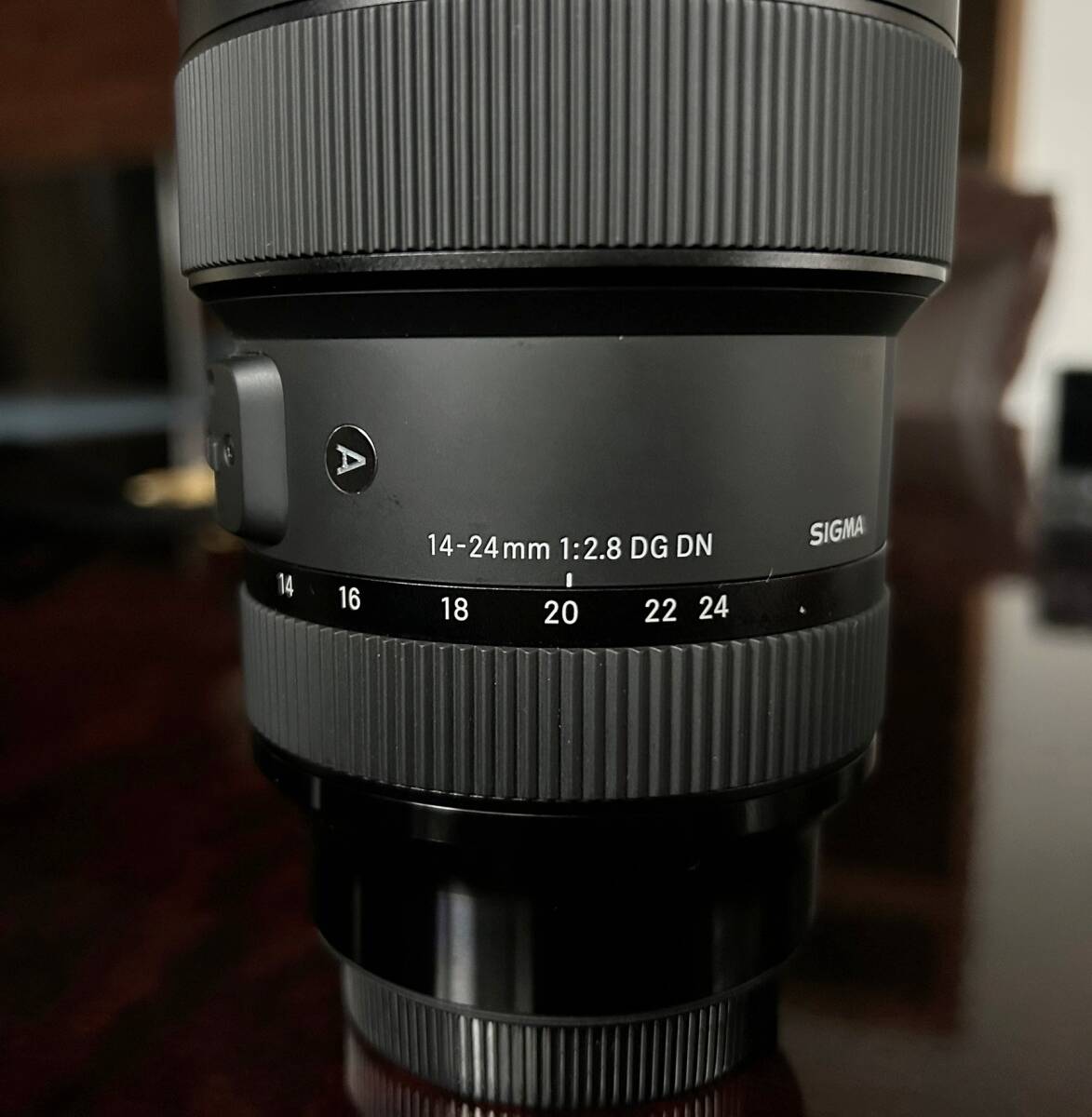 Sigma 14-24mm F2.8 DG DN Art L-Mount Lens [o1186589724]