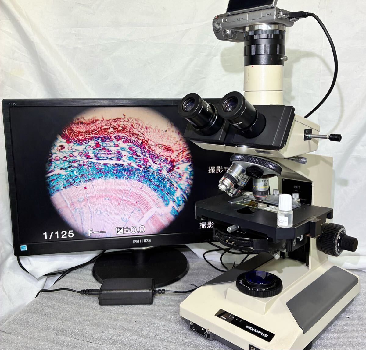 Olympus BH2 Phase Contrast Microscope with 3 Objective Lenses and Sony Camera [x1245984122]
