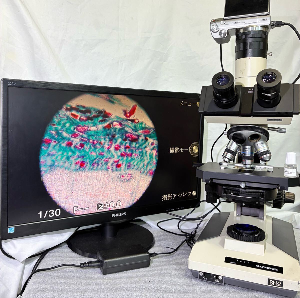 Olympus BH2 Phase Contrast Microscope with 3 Objective Lenses and Sony Camera [x1245984122]