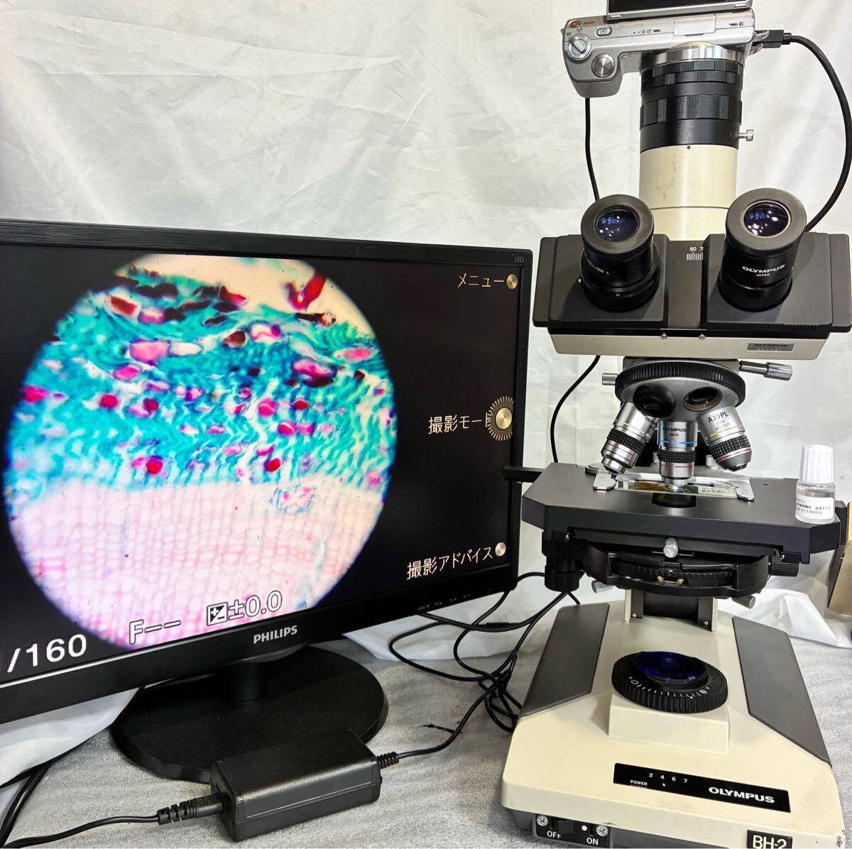 Olympus BH2 Phase Contrast Microscope with 3 Objective Lenses and Sony Camera [x1245984122]