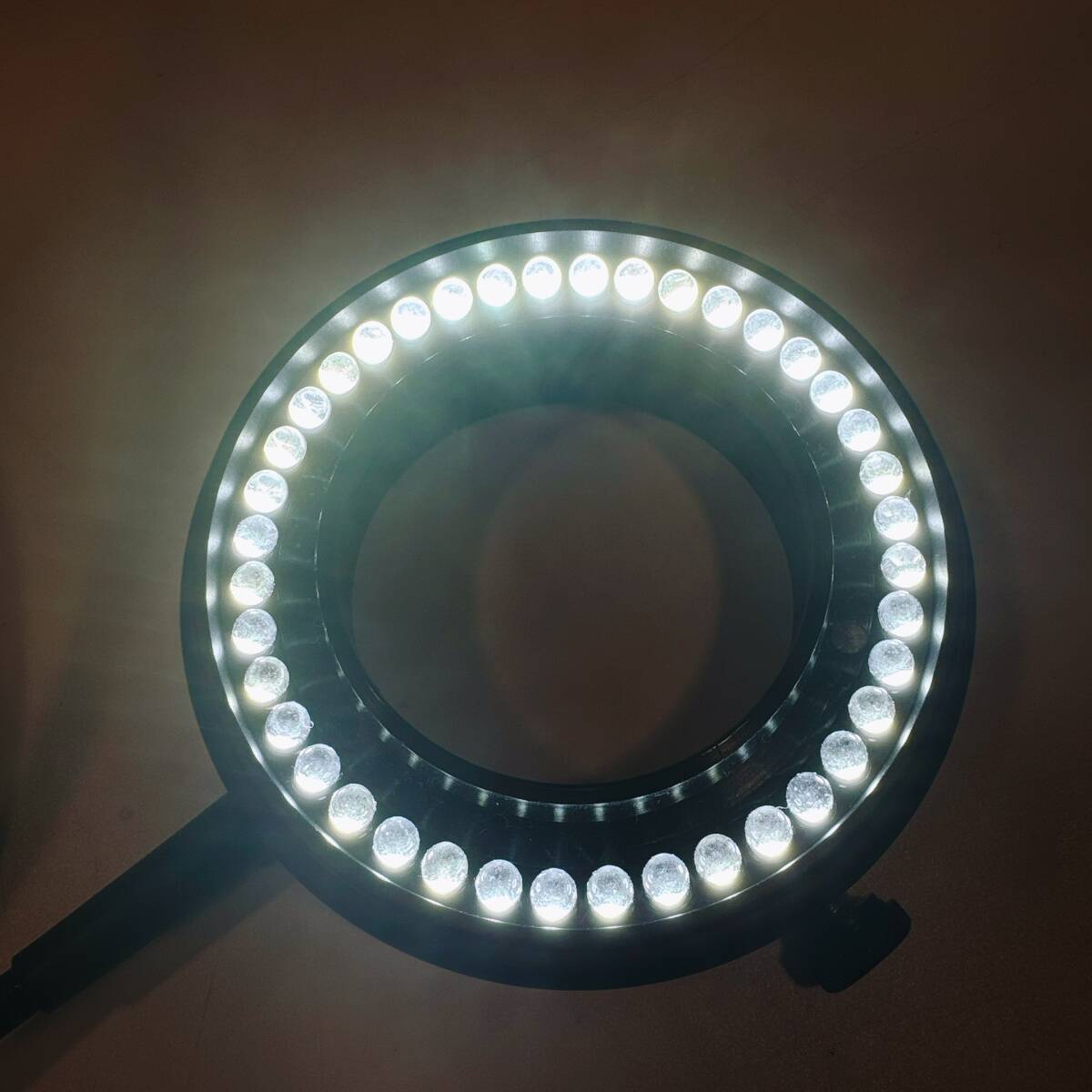 Leica MZ8 Stereo Microscope with LED Lighting [o1155699845]