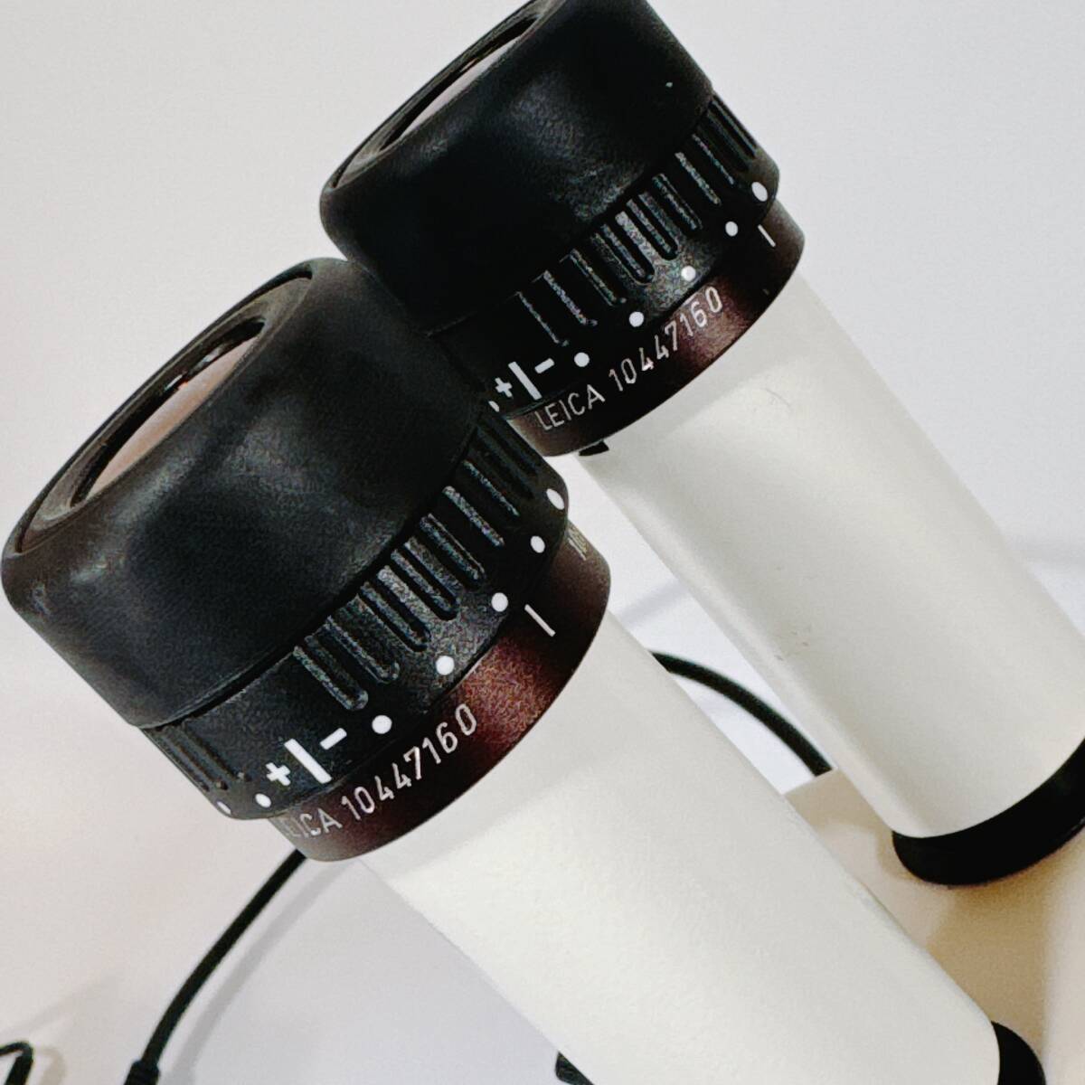 Leica MZ8 Stereo Microscope with LED Lighting [o1155699845]