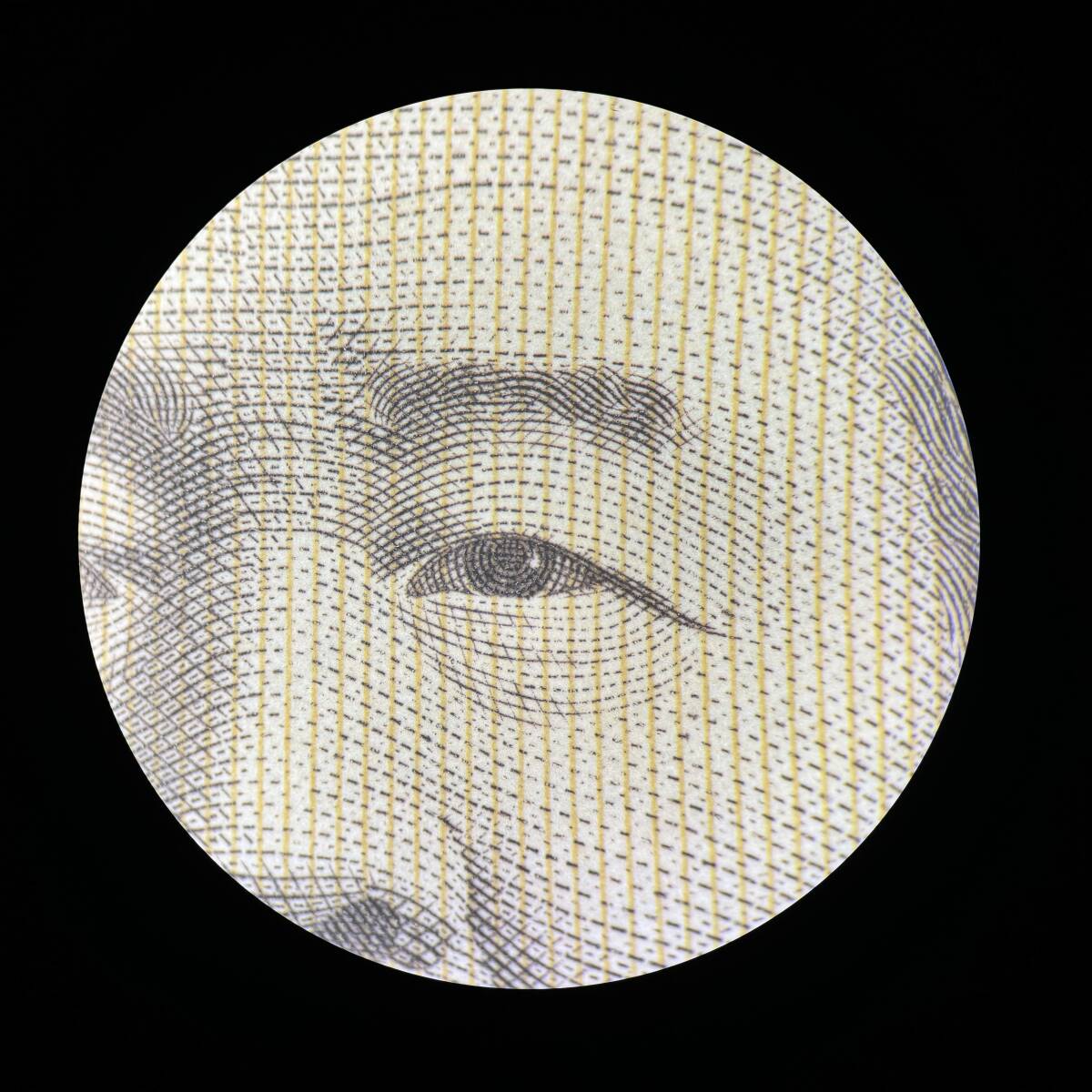 Leica MZ8 Stereo Microscope with LED Lighting [o1155699845]