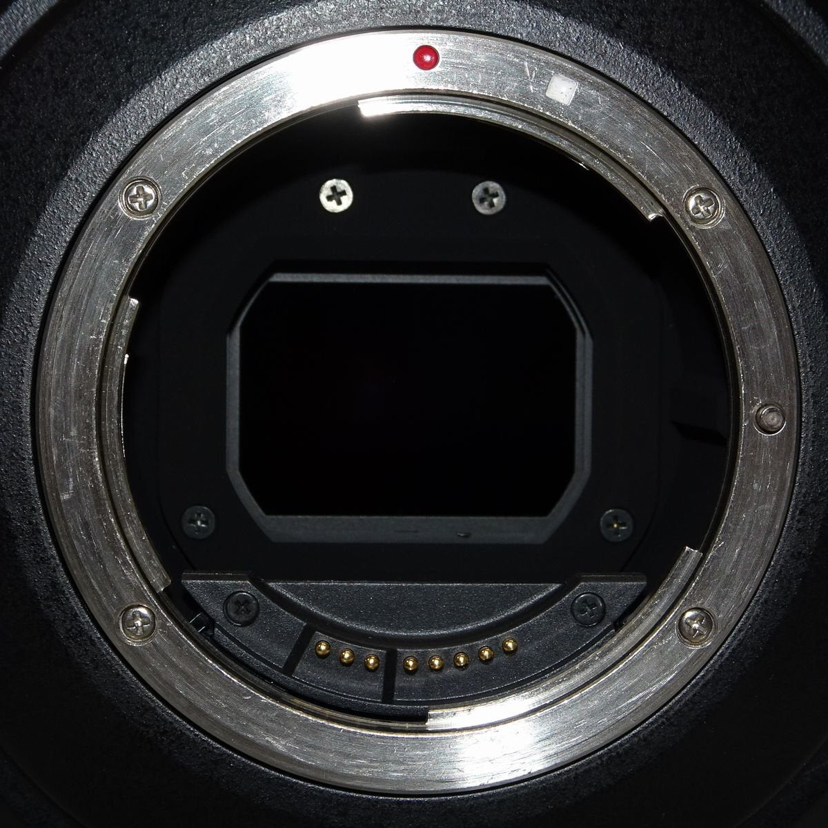 Canon EOS C200 Digital Cinema Camera Body EF Mount 105 Hours [k1169750470]