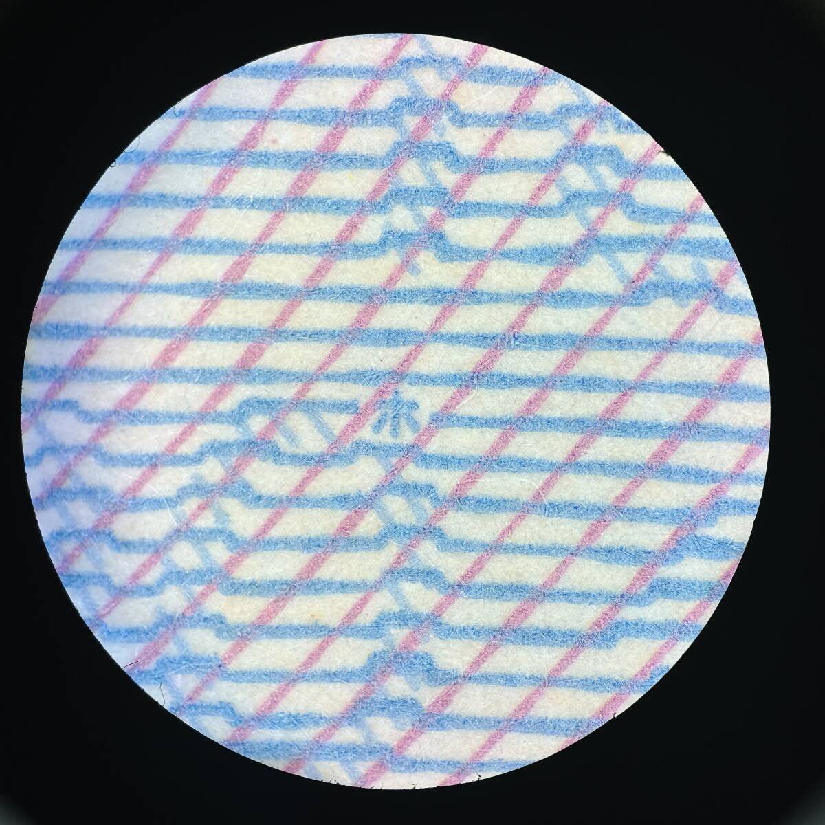 Leica S6T Stereo Microscope Maximum Magnification 40.0 [r1193142077]