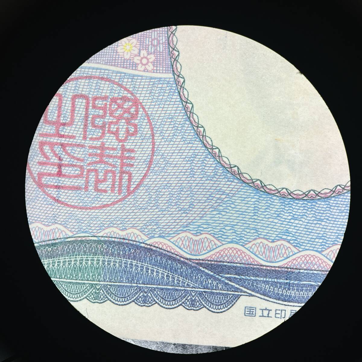 Leica S6T Stereo Microscope Maximum Magnification 40.0 [r1193142077]