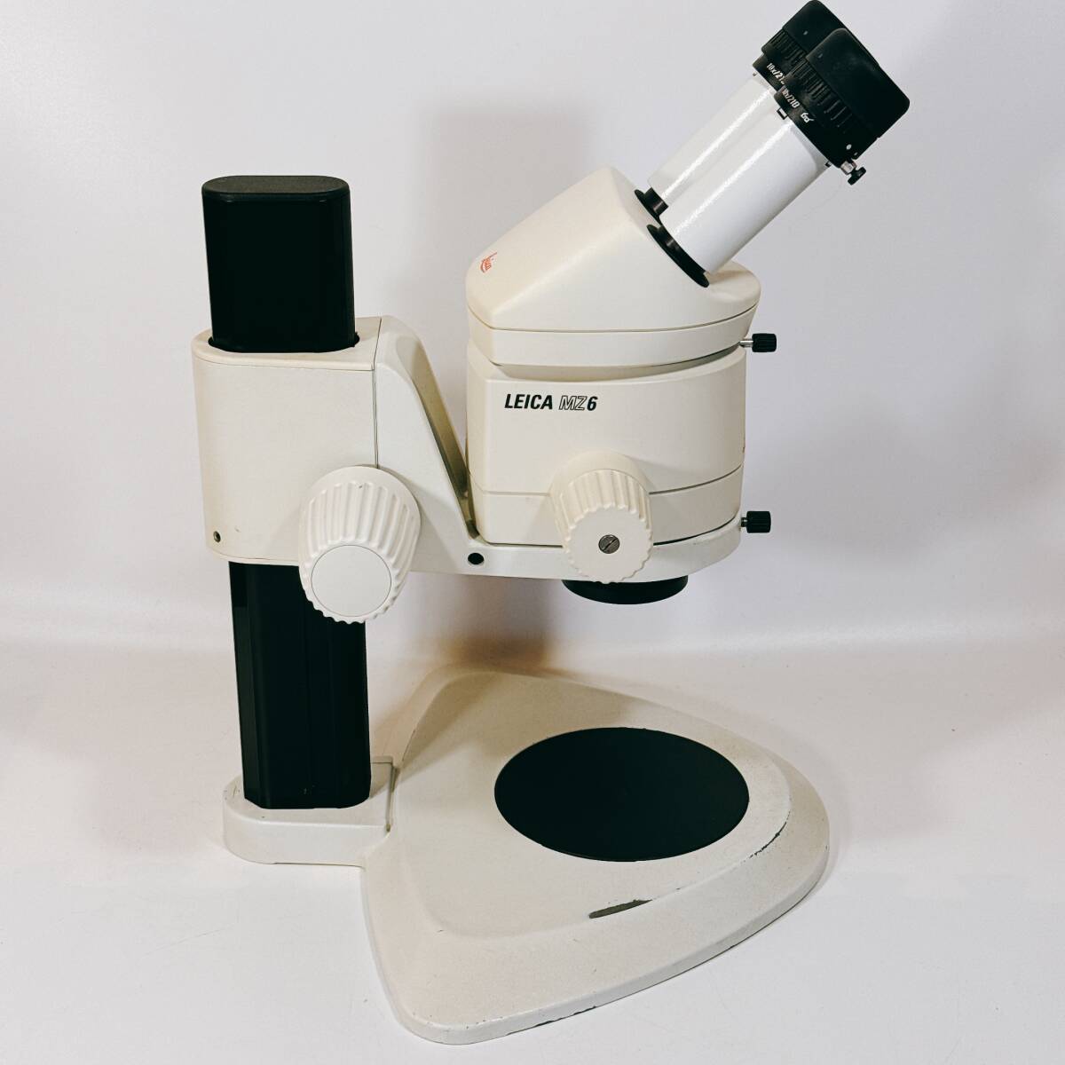 Leica MZ6 Stereo Microscope [q1193169984]
