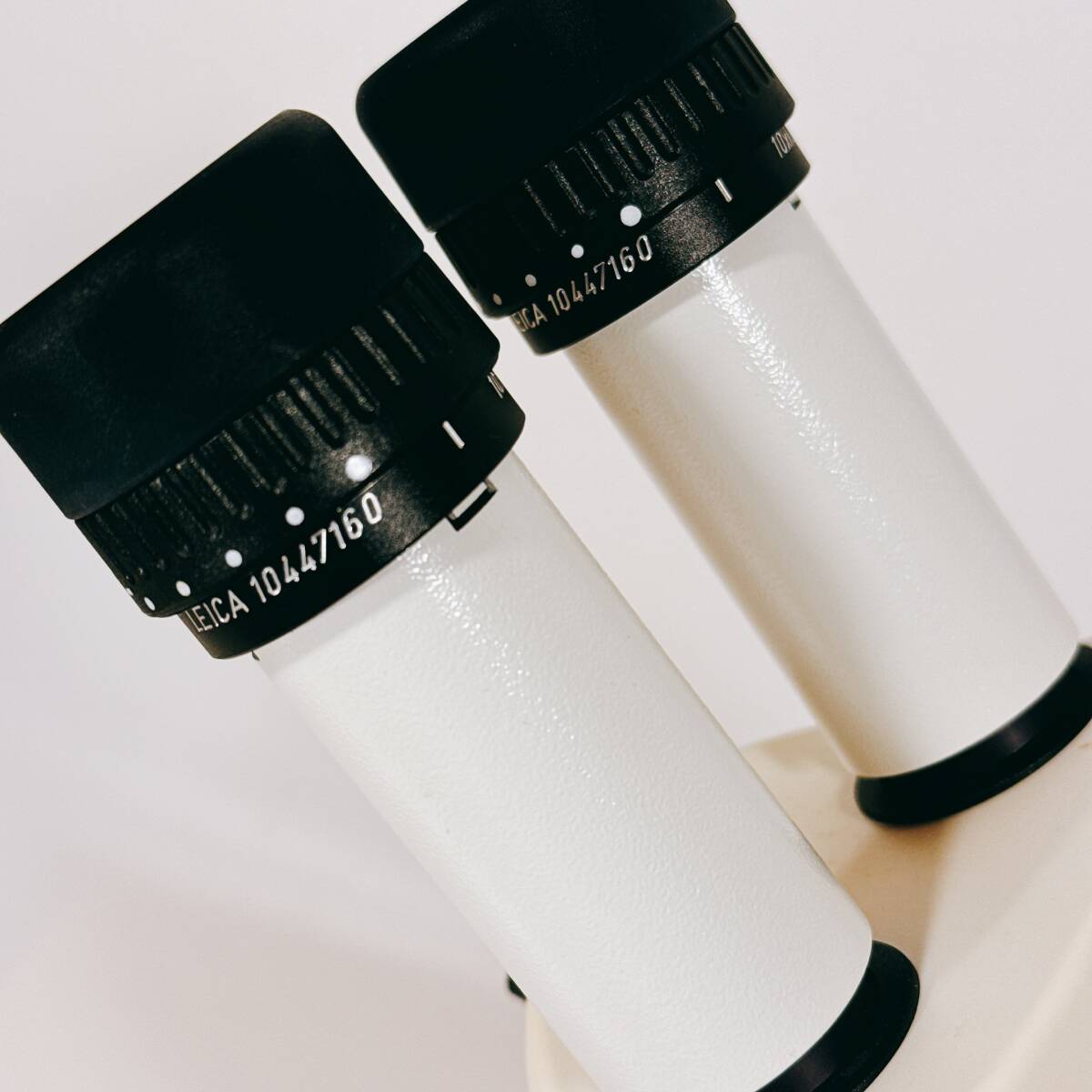 Leica MZ6 Stereo Microscope [q1193169984]
