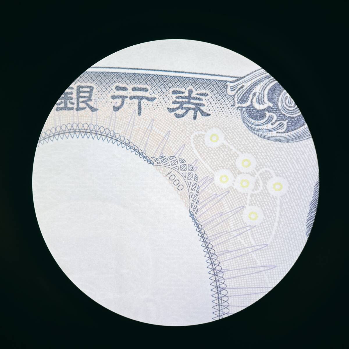 Leica MZ6 Stereo Microscope [q1193169984]