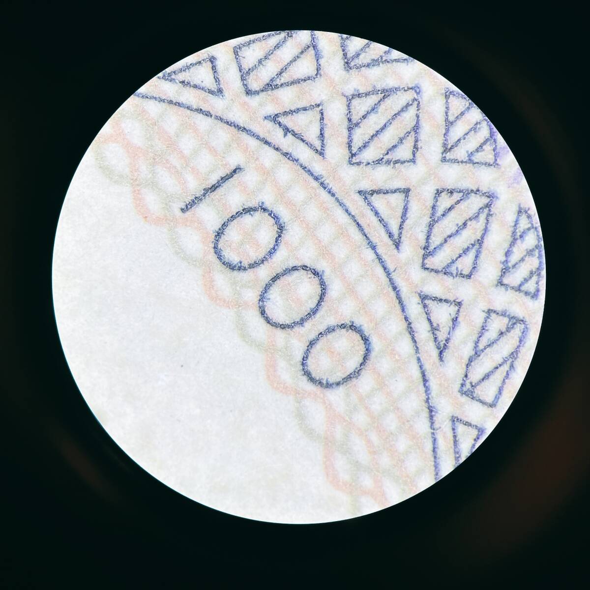 Leica MZ6 Stereo Microscope [q1193169984]