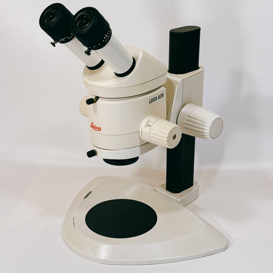 Leica MZ6 Stereo Microscope [q1193169984]