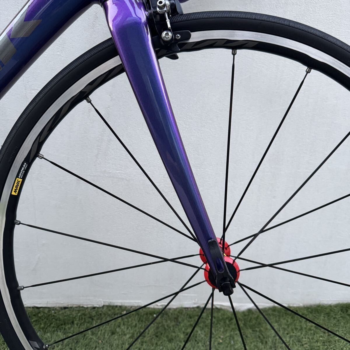 TREK Emonda ALR5 Road Bike Mavic Xythrium Rim Brake 50 Size [1197209956]