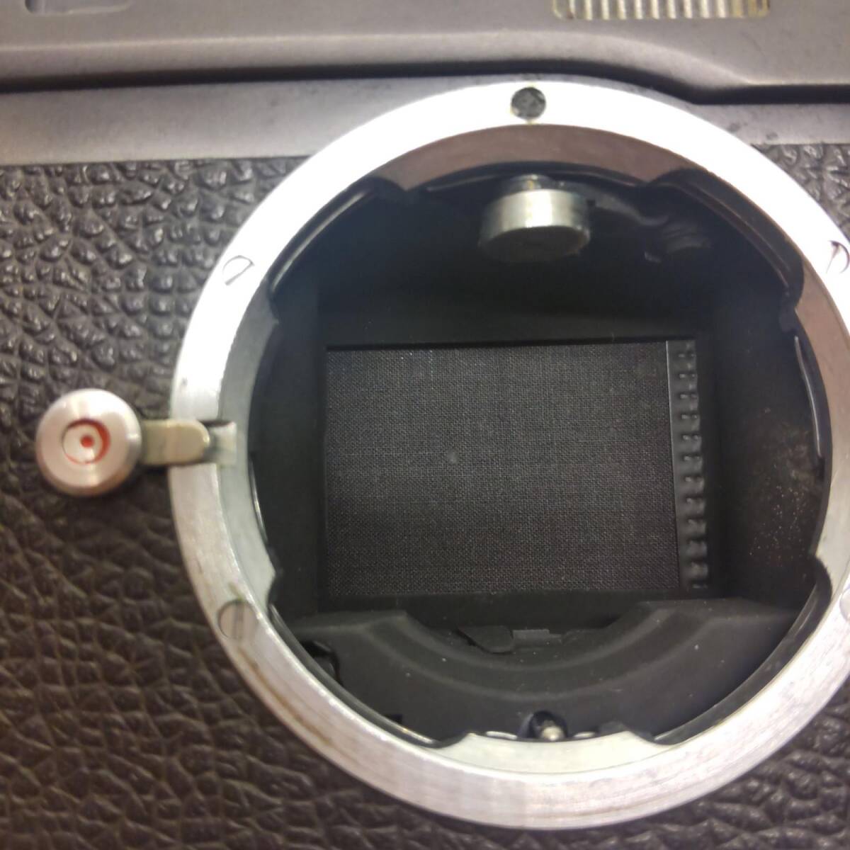 Leica M5 Black Camera [l1203020344]