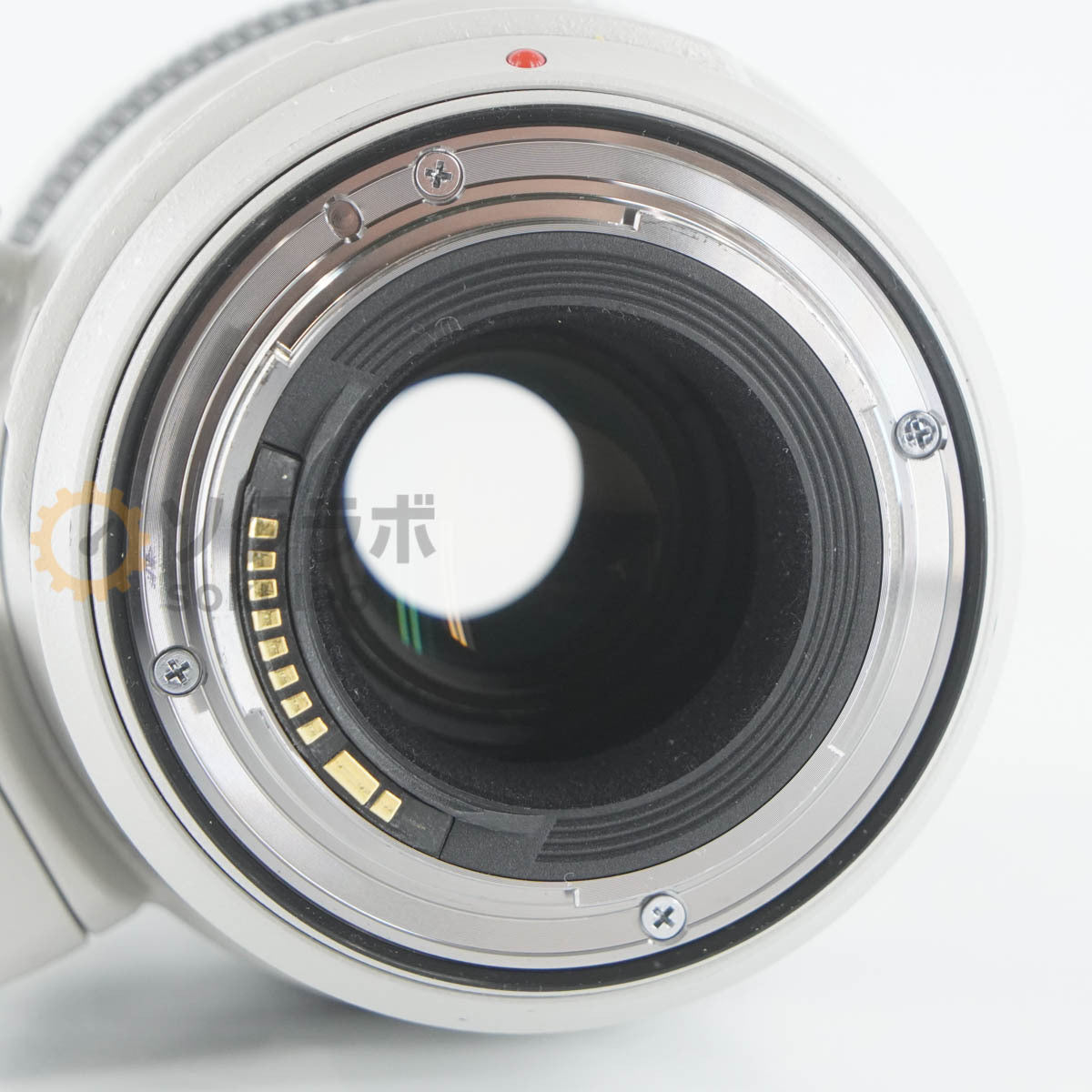 CANON EF 100-400mm 1:4.5-5.6 L IS II USM Telephoto Zoom Lens [c1212095671]