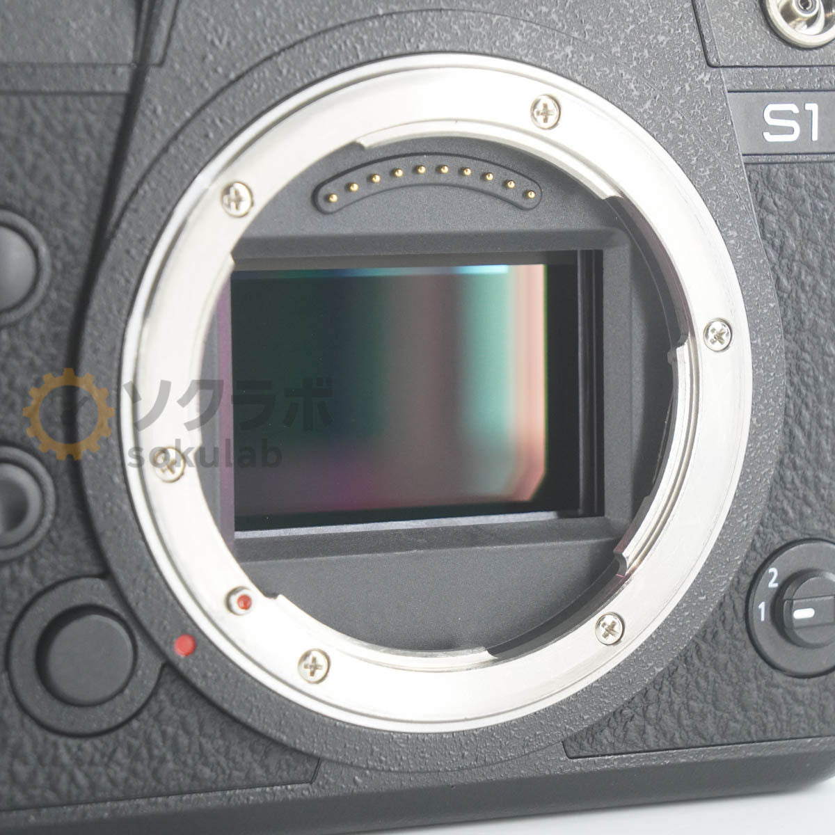 Panasonic DC-S1 LUMIX S1 Mirrorless Camera Body [o1212093422]