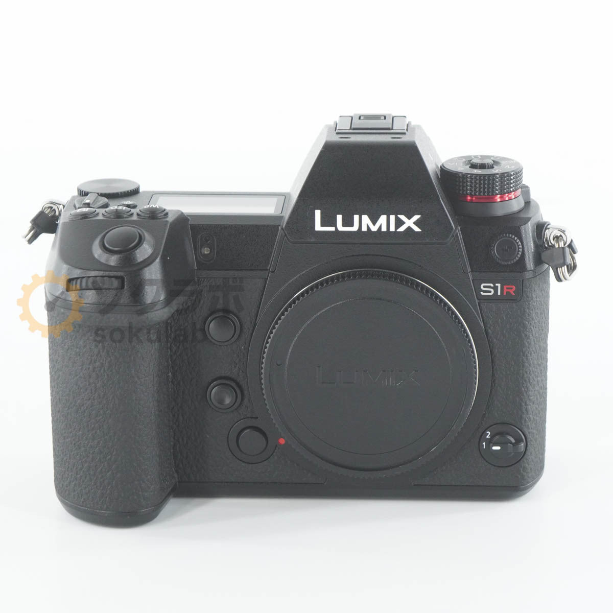 Panasonic LUMIX S1R Mirrorless Camera Body [e1212095028]