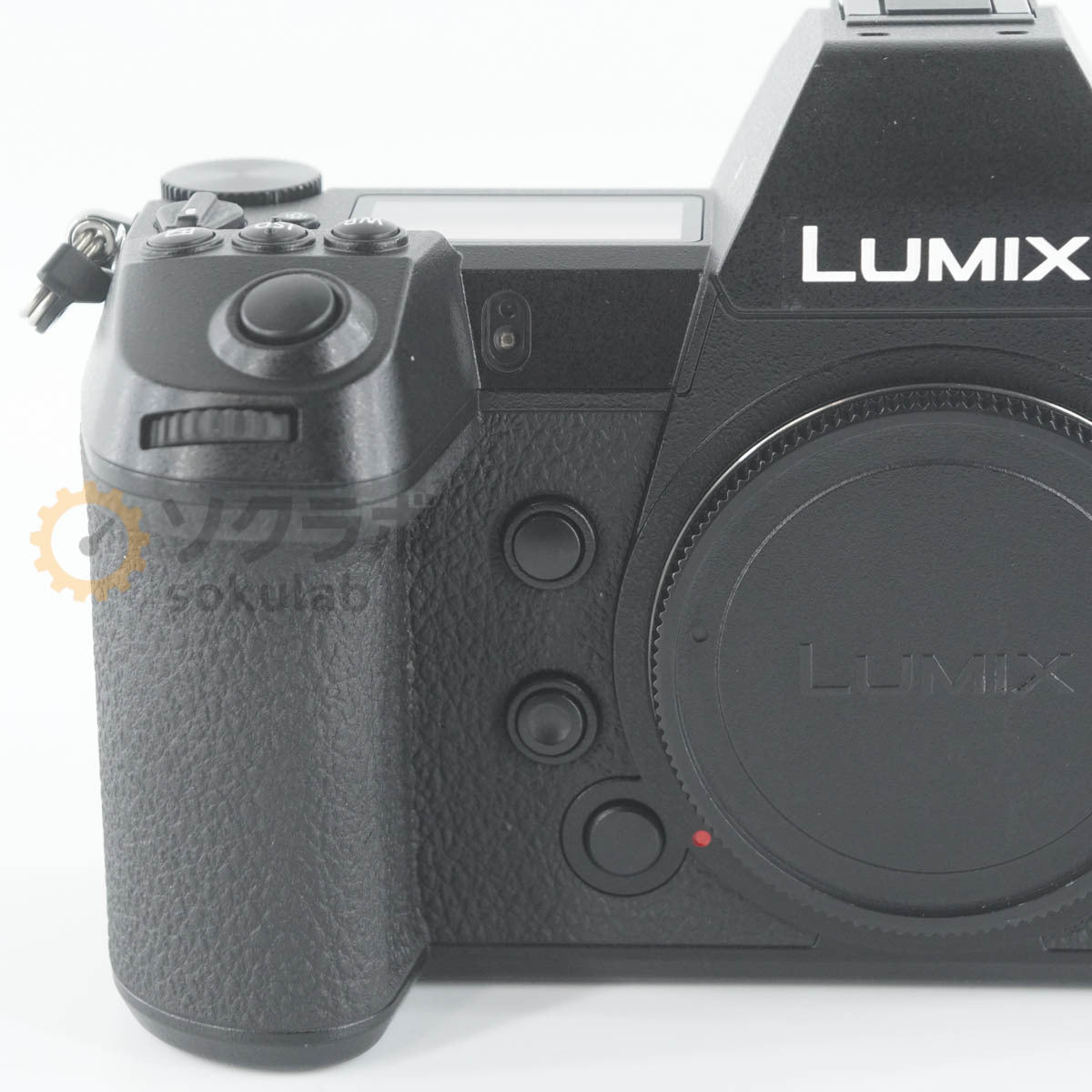 Panasonic LUMIX S1R Mirrorless Camera Body [e1212095028]