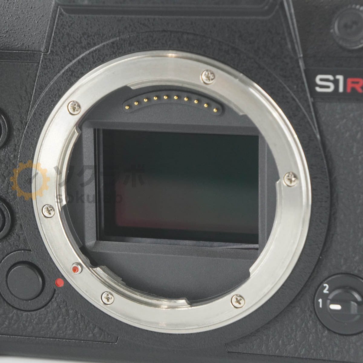 Panasonic LUMIX S1R Mirrorless Camera Body [e1212095028]