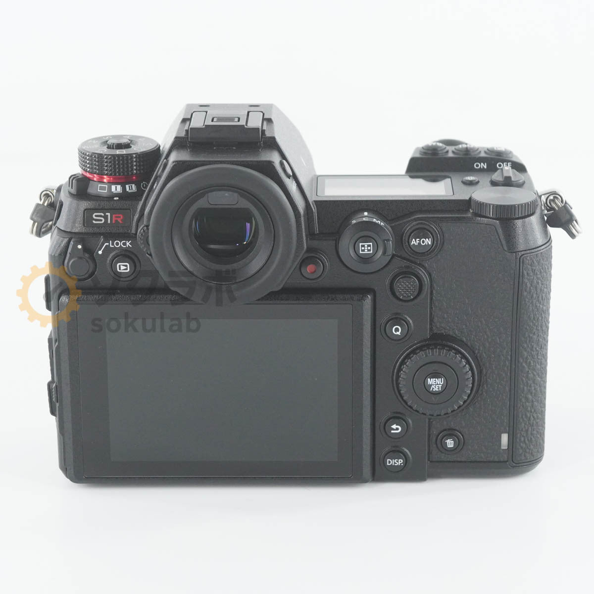 Panasonic LUMIX S1R Mirrorless Camera Body [e1212095028]