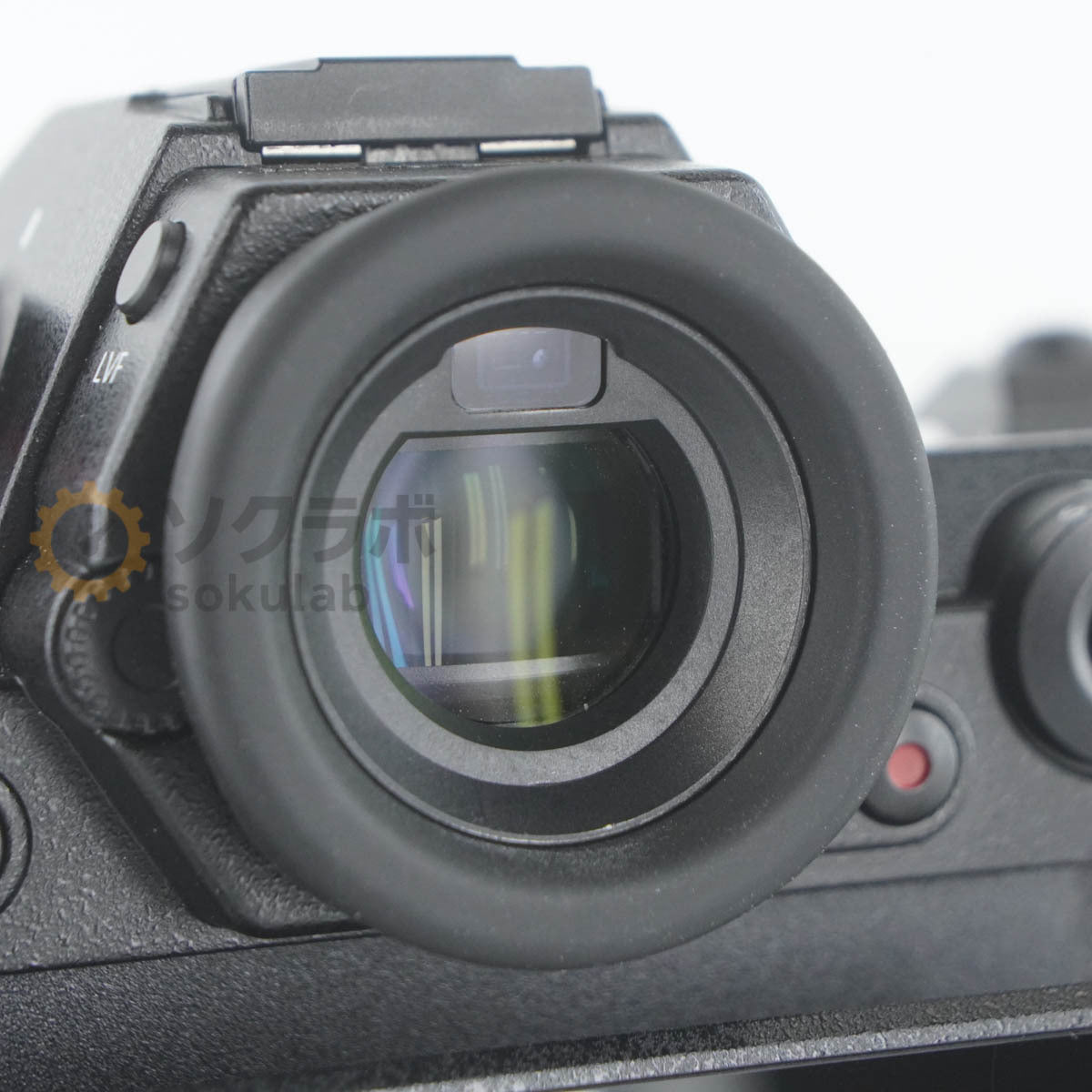 Panasonic LUMIX S1R Mirrorless Camera Body [e1212095028]