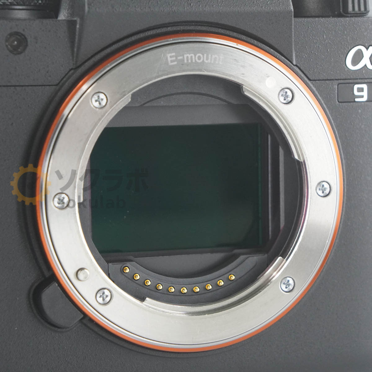 Sony α9 II ILCE-9M2 Mirrorless Digital Camera Body [b1214232591]