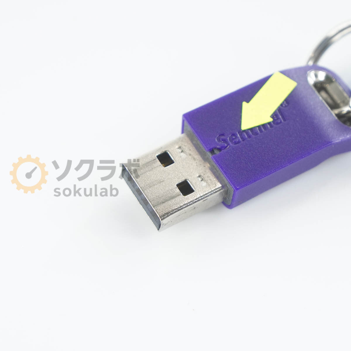 DW AS-70 RION Waveform Analysis Software [u1216103981]