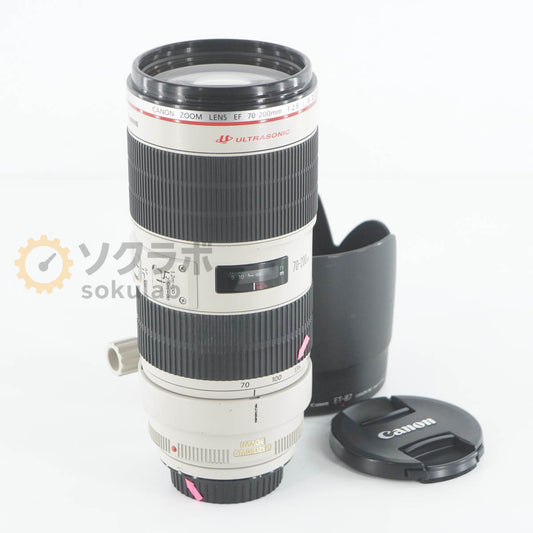 Canon EF 70-200mm 1:2.8 L IS II USM Telephoto Zoom Lens [t1218523659]