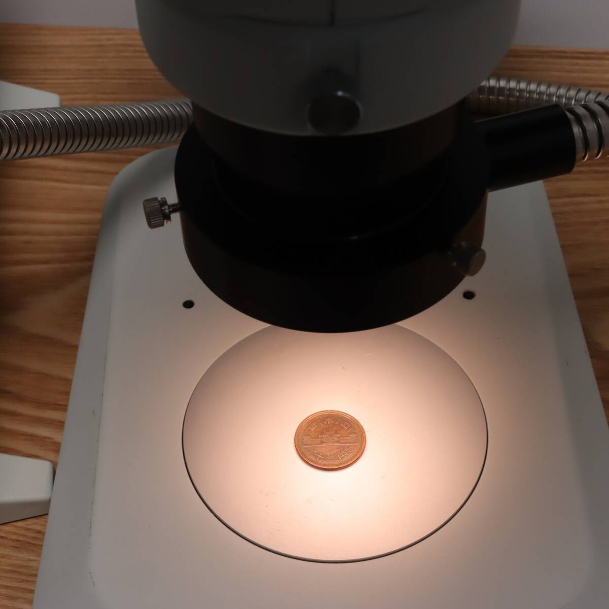 Olympus SZ-61 Stereo Microscope [r1219695132]